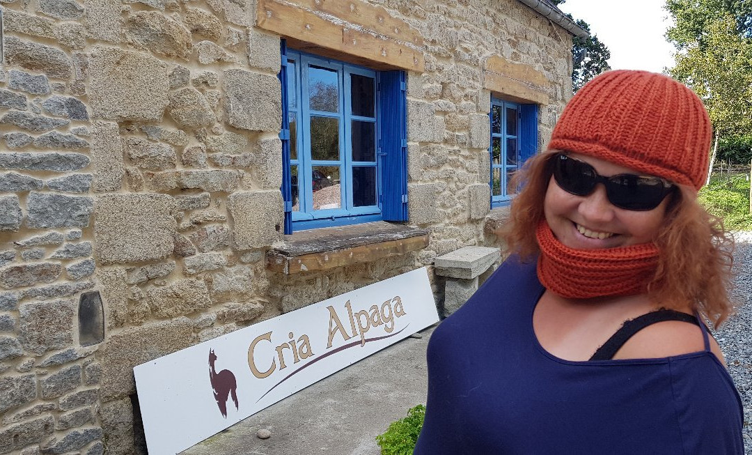 Cria Alpaga
