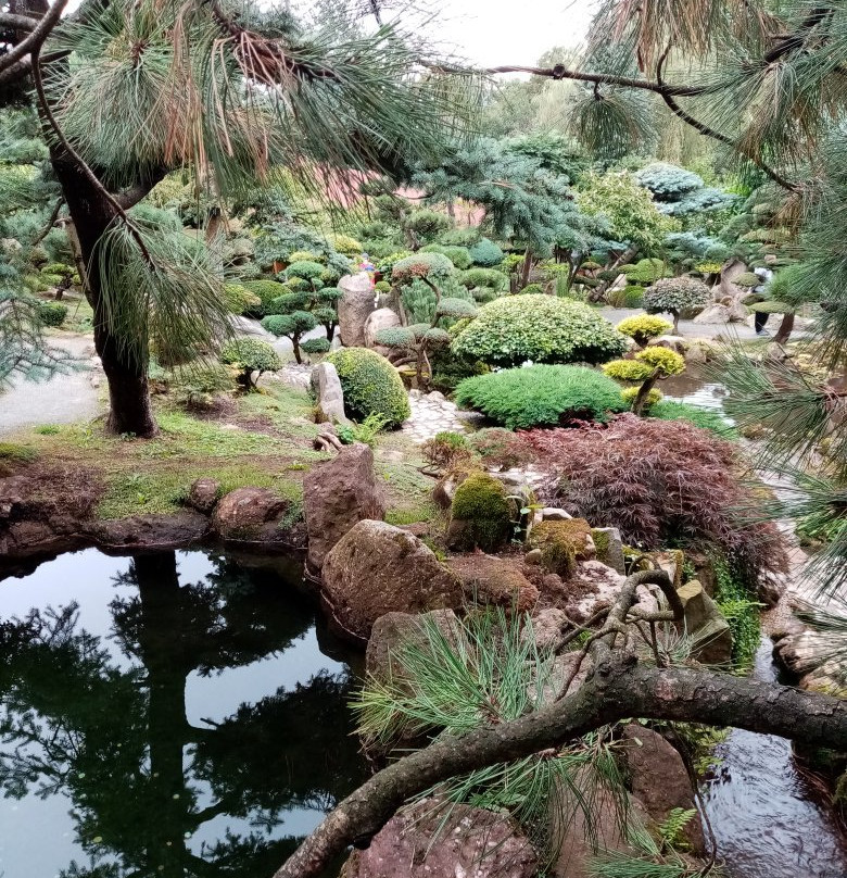 Jarkow旅游攻略图片