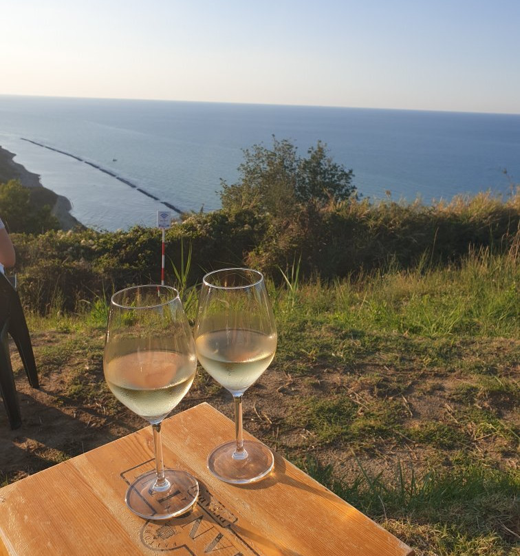 Vineria con Cucina in Fattoria Mancini-佩萨罗必去景点