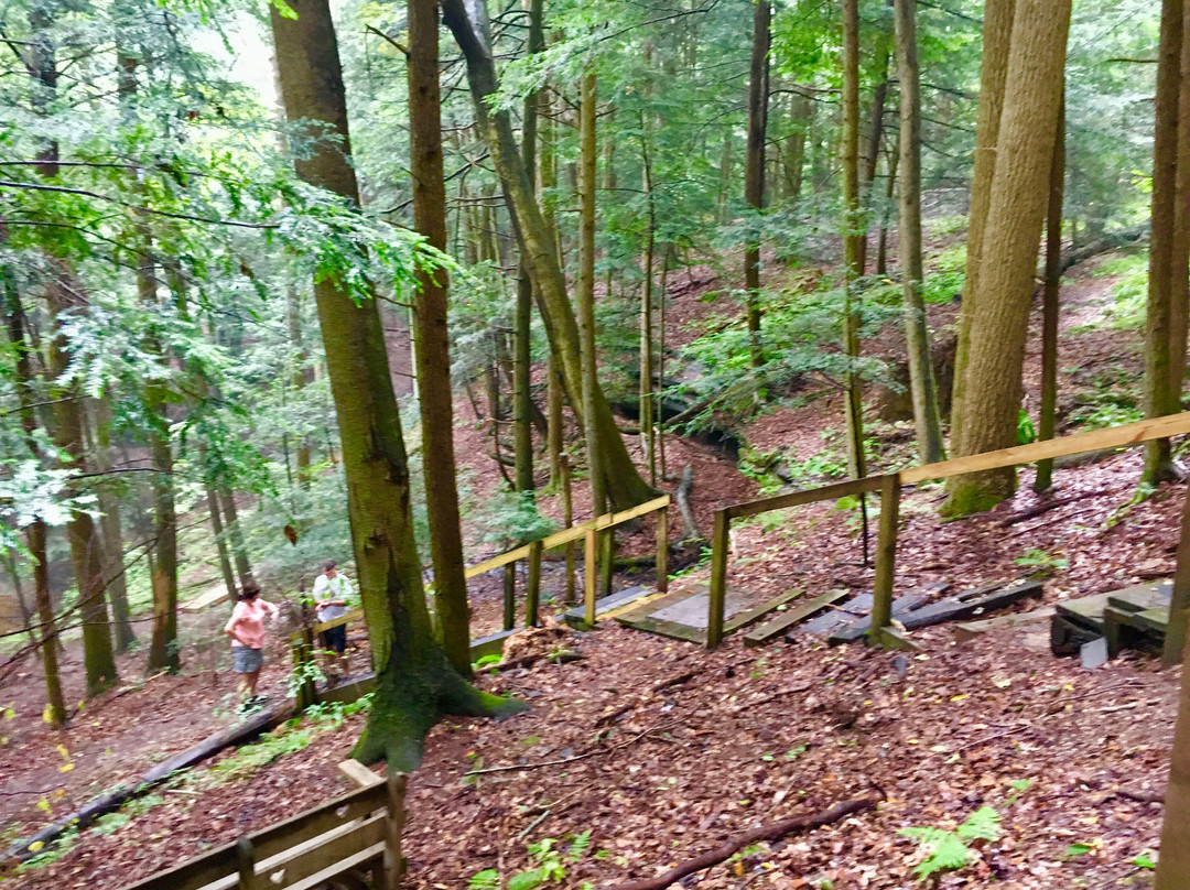 Glenlaurel, A Scottish Inn & Cottages主图