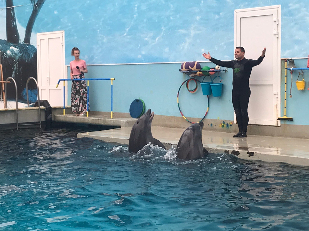 Kislovodsk Dolphinarium景点图片