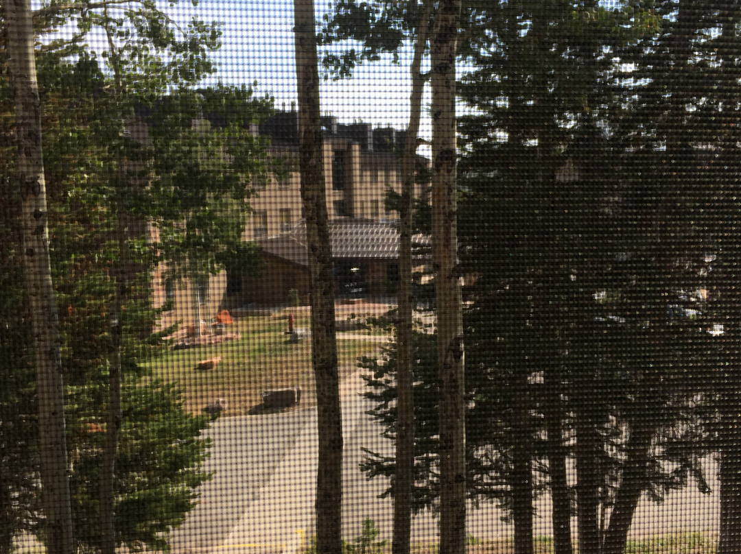 雪松休闲旅舍主图