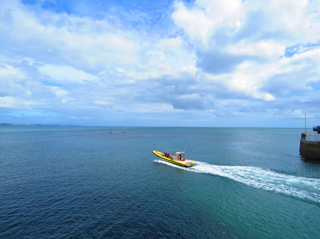 Mevagissey Rib Rides-梅瓦吉西必去景点