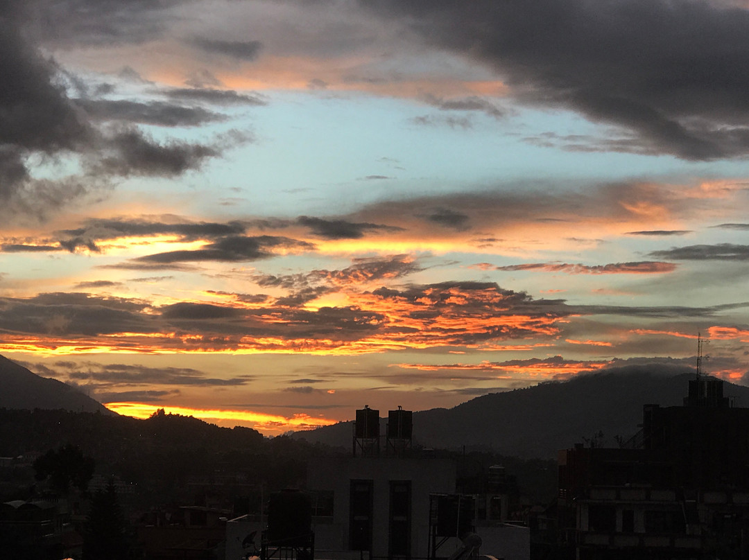 Cozy Home Bed and Breakfast主图