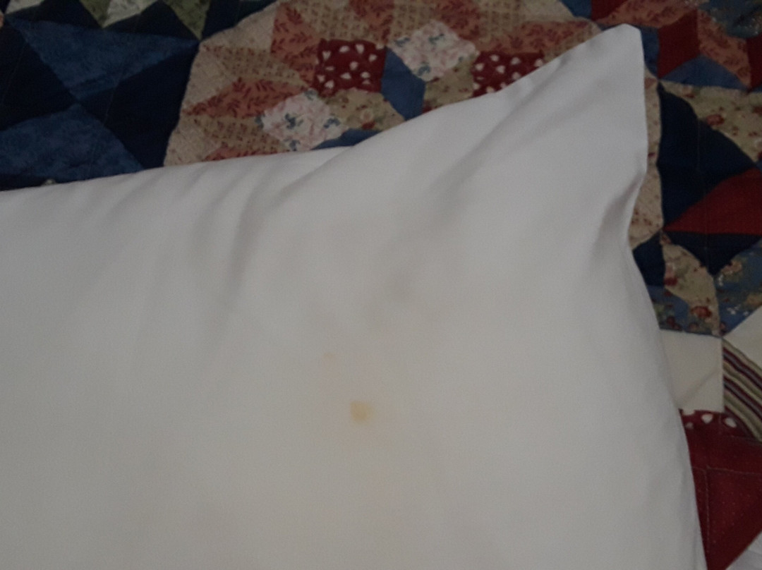 Contessa Resort主图