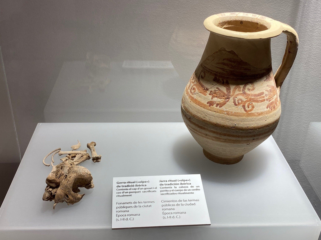 Vilamuseu景点图片