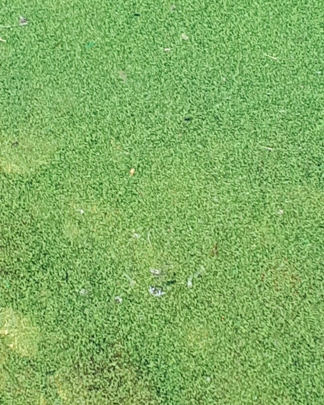 Erin Park-Killarney必去景点