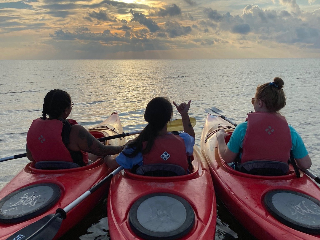 Kitty Hawk Kayak & Surf School景点图片