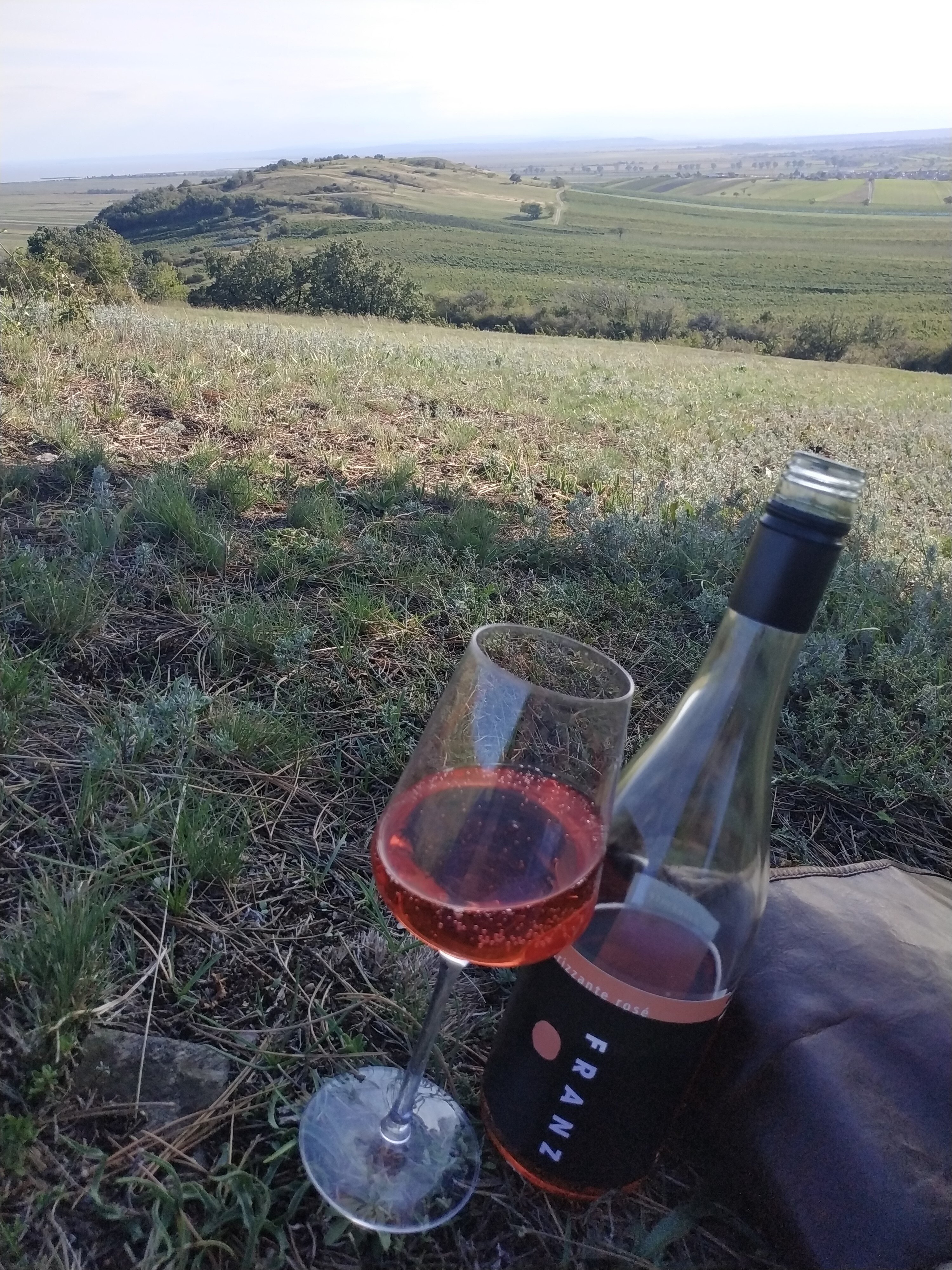 Weingut Pasler-官方