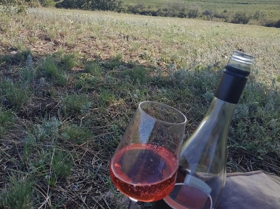 Weingut Pasler主图