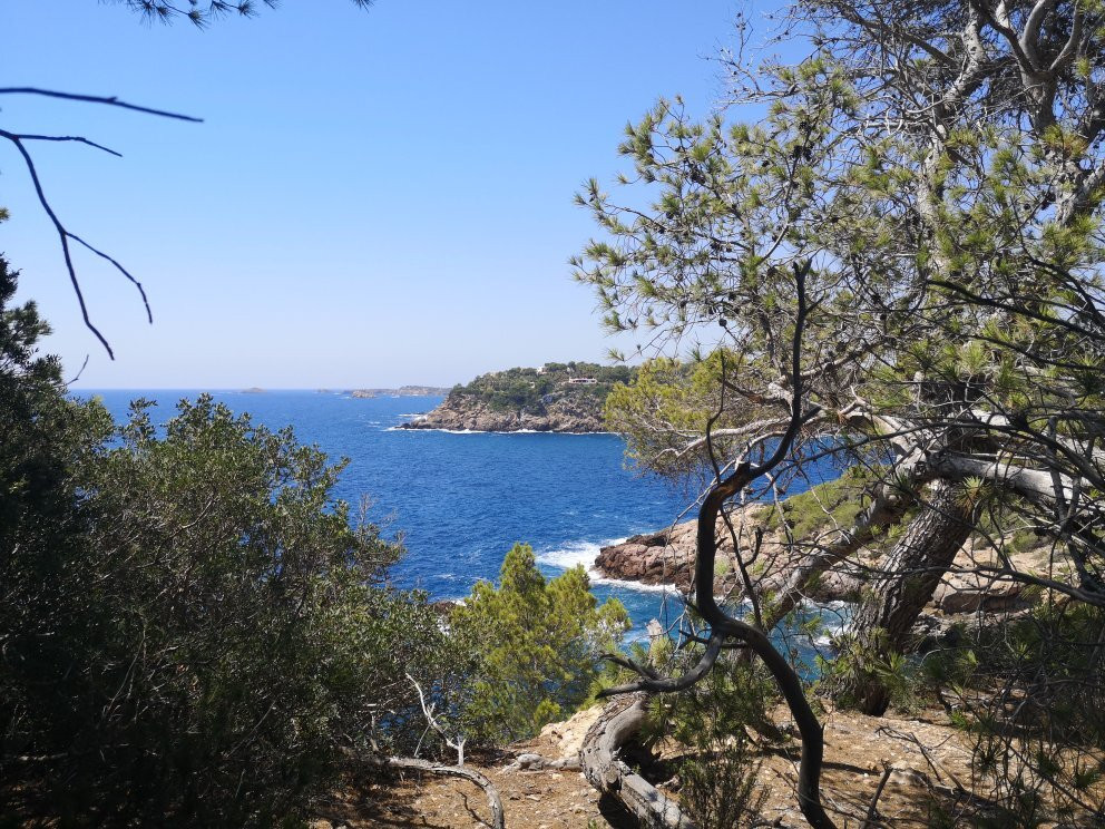 Cala Boix Beach景点图片