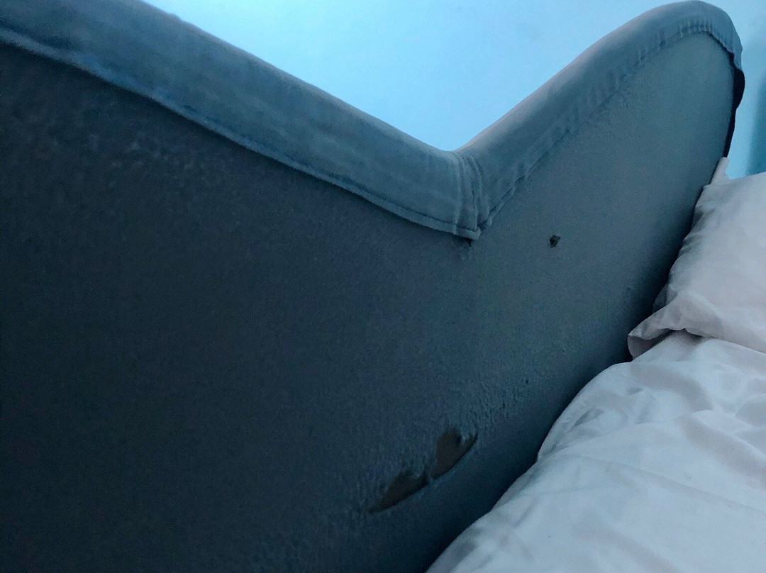 Hotel Miramare主图