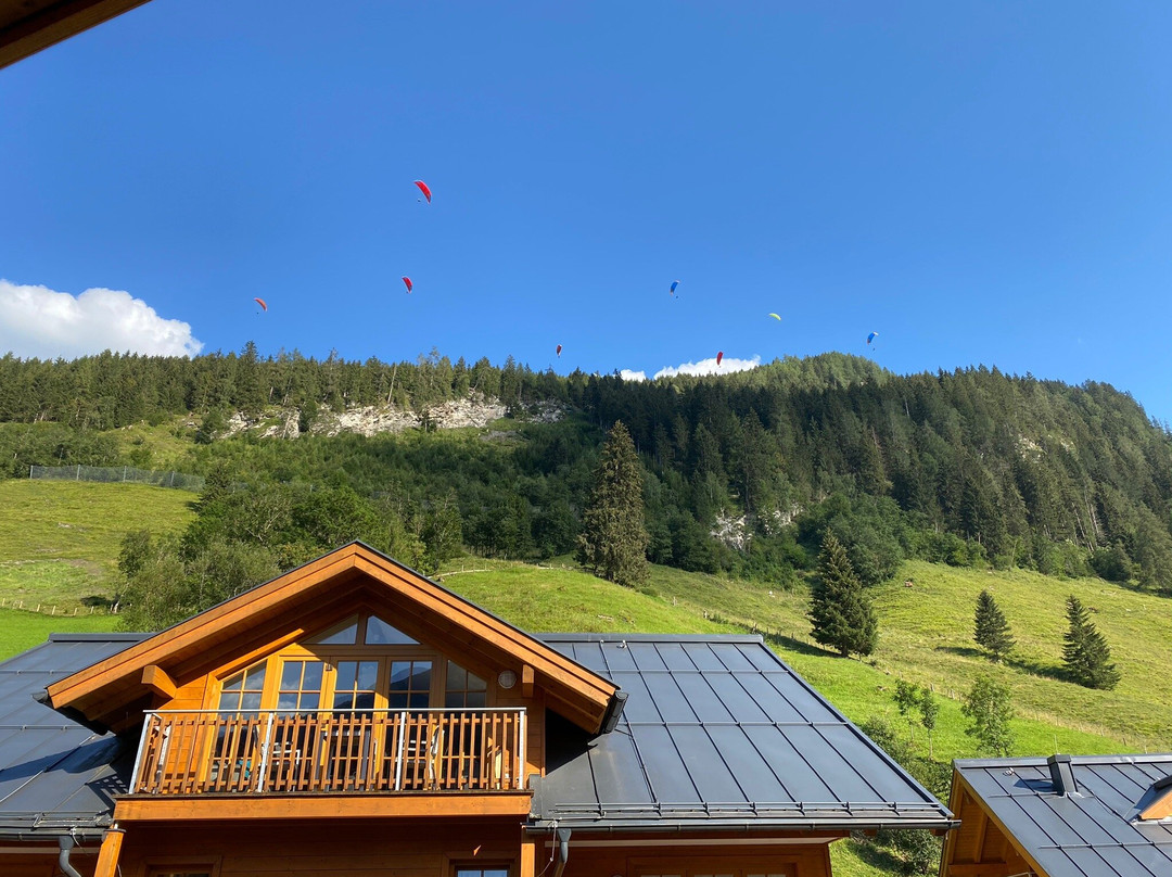 Schonblick Mountain Resort & Spa主图