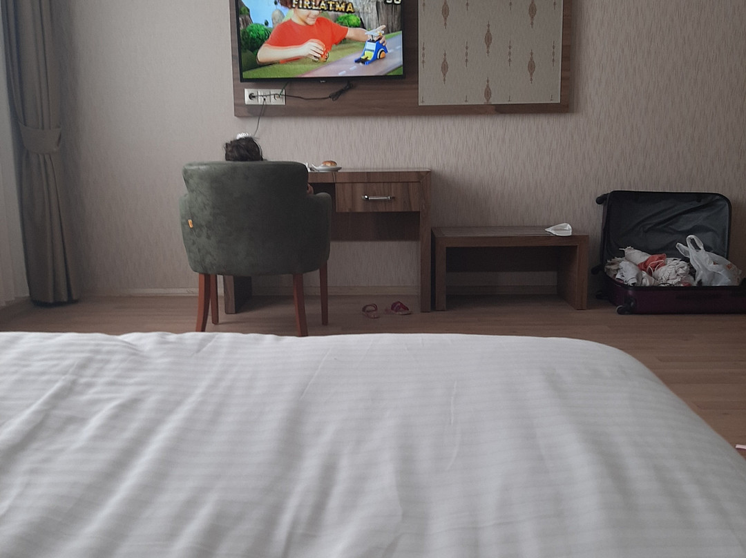 Alp Hotel Apart主图