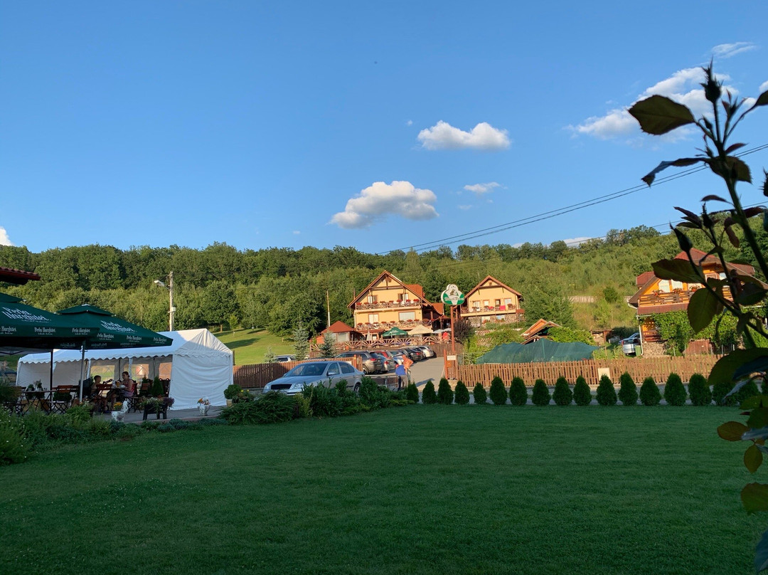 Pensiunea Nemeth主图