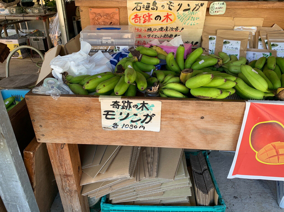 Ibaruma Farm Fruits Chokubaijo景点图片