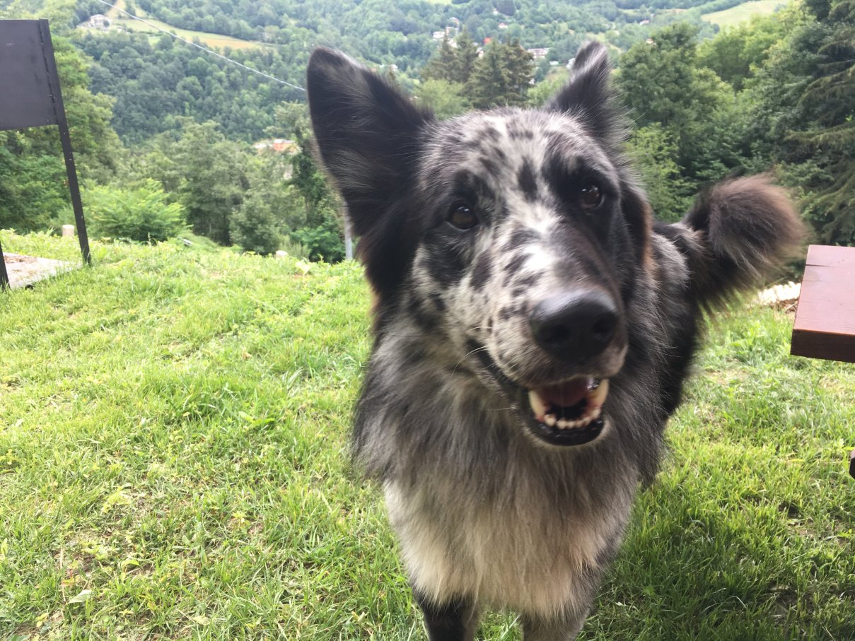 Agriturismo Il Cerro-官方