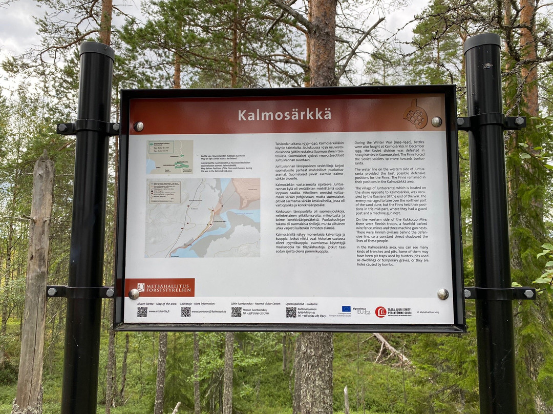 Kalmosarkka