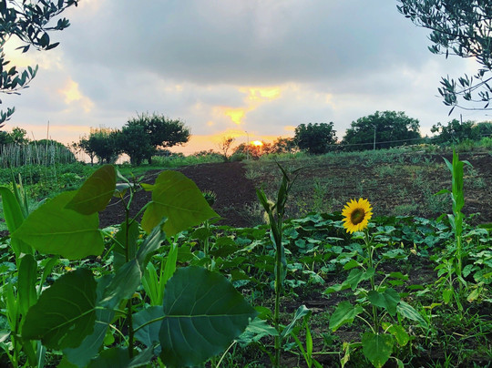 Agriturismo Seaview主图