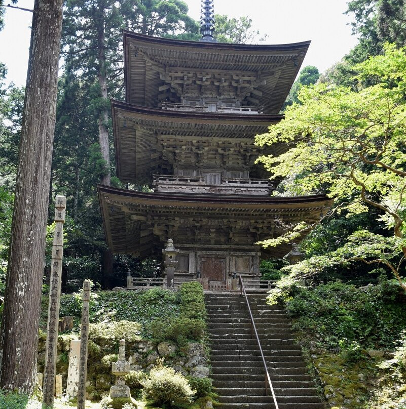 Pagoda at Myotusji Temple景点图片