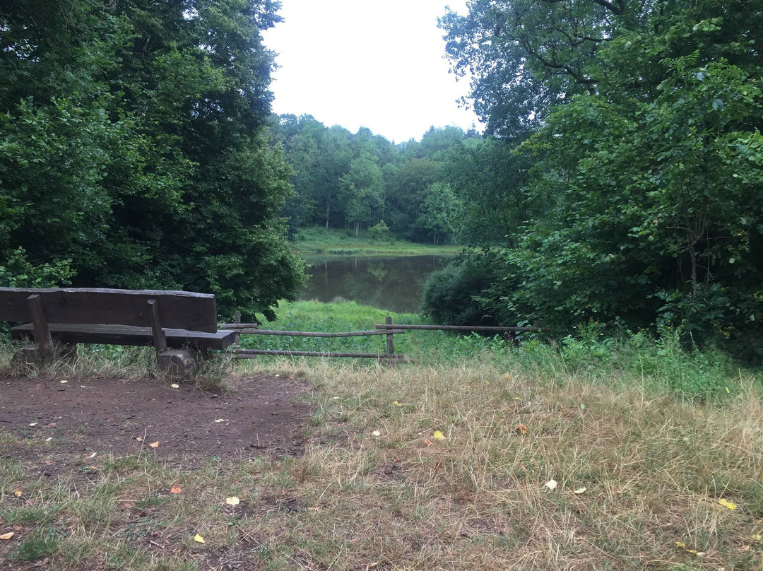 Windsborn-Kratersee-Bettenfeld必去景点