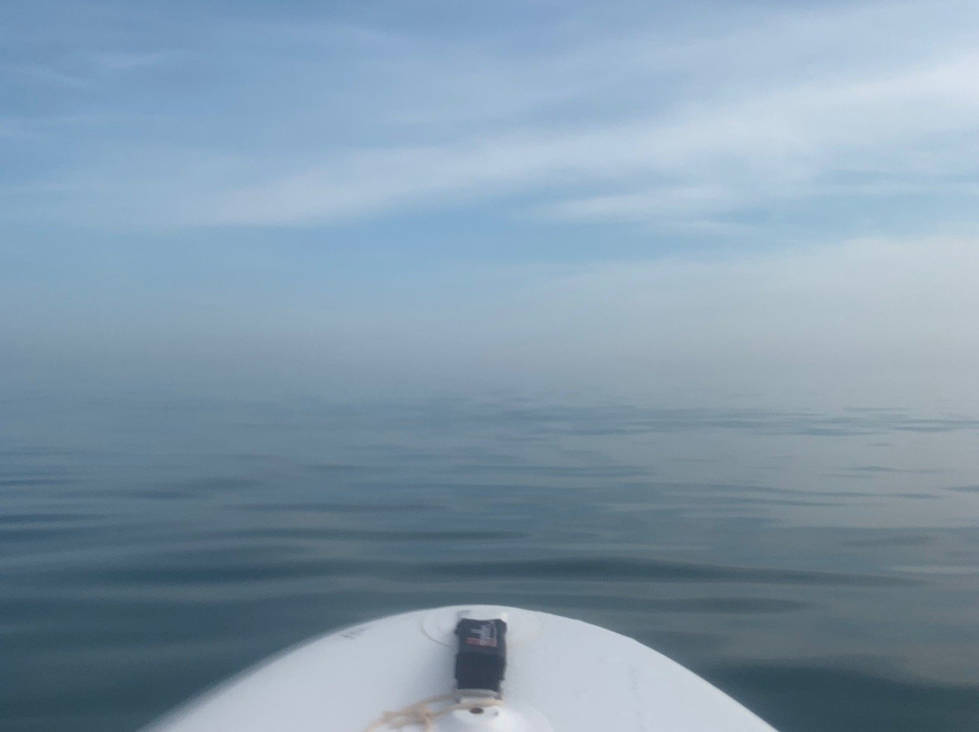 Jurassic Paddle Sports-西德茅斯必去景点