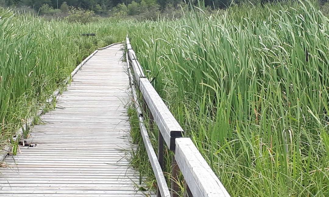 Ominik Marsh Trail-Wasagaming必去景点