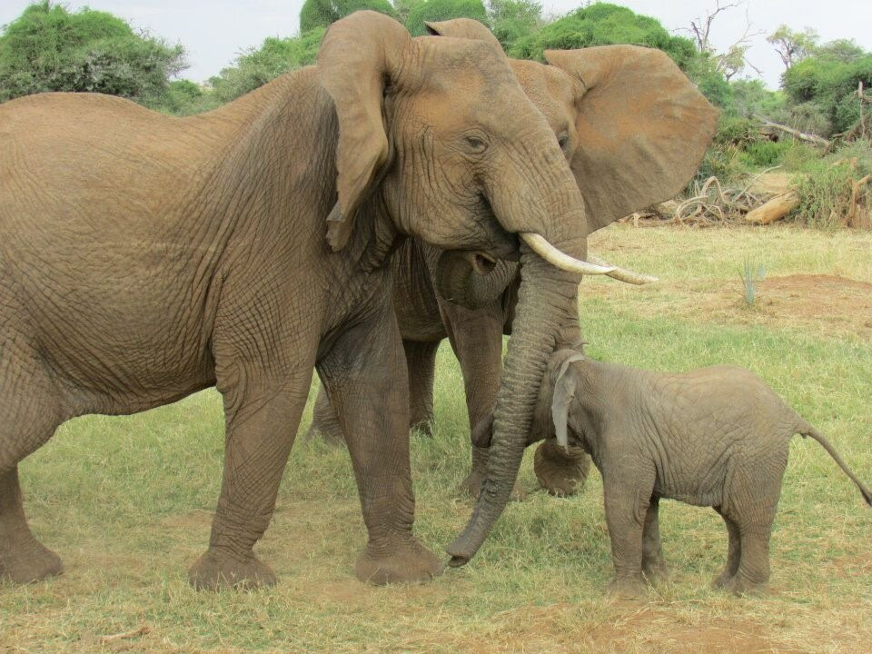 Destinations African Gorilla Limited-卡巴莱必去景点