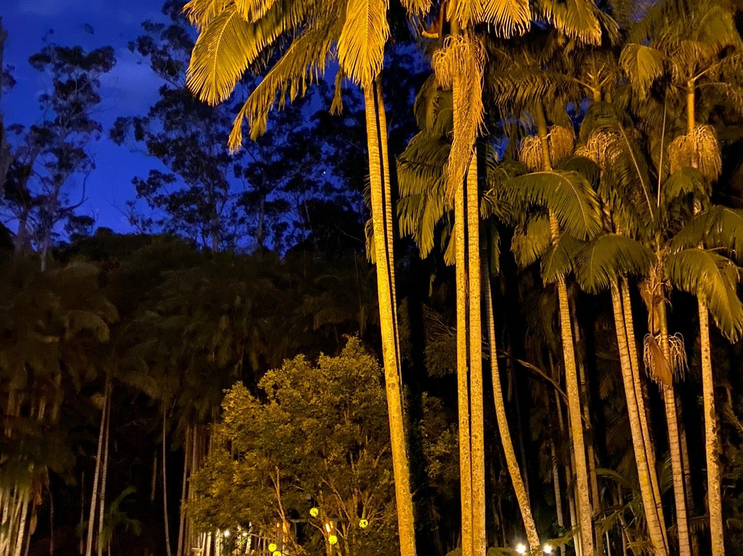 Mt Tamborine Stonehaven Guest House主图