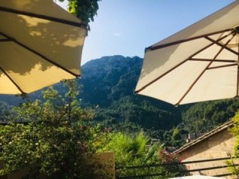 Hotel d'es Puig-泳池