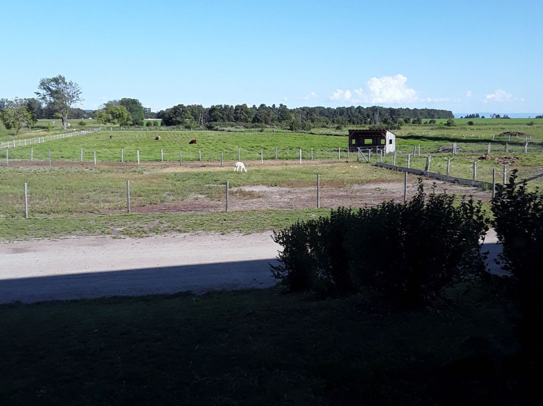 Hôtel & Spa Le Germain Charlevoix主图