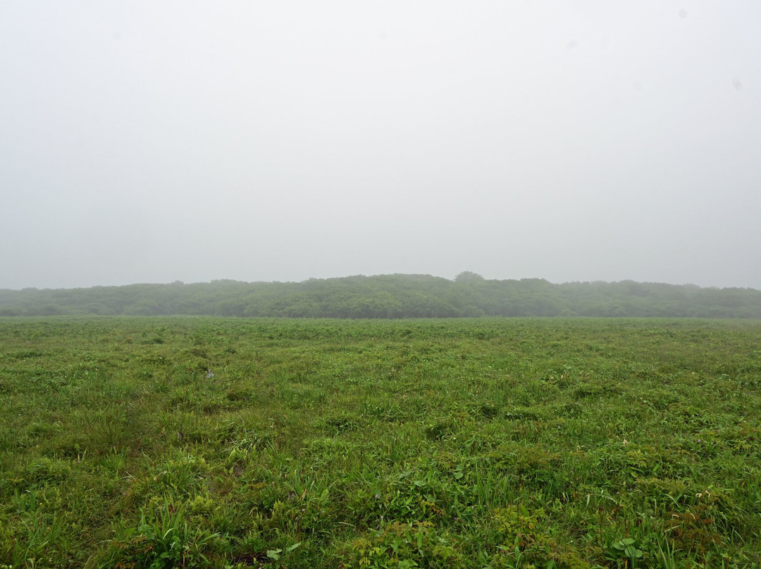 Northern Natural Flower Garden-根室市必去景点