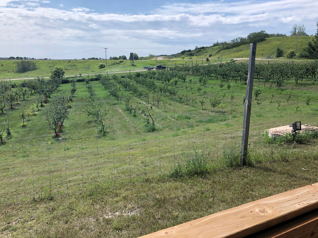 Petrofka Orchard-Waldheim必去景点