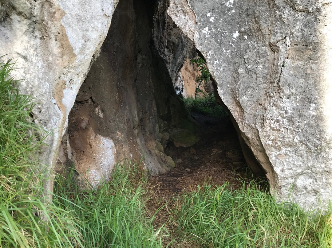 Tarragal Caves-Cape Bridgewater必去景点