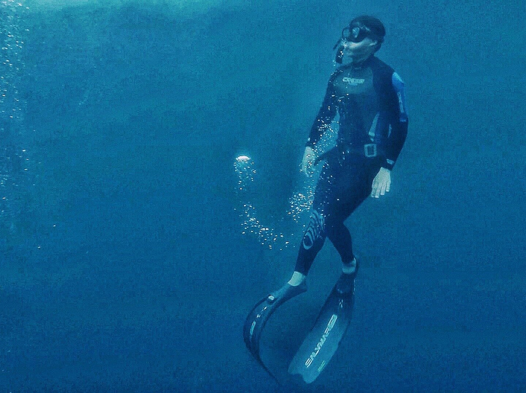 Fathom Freedive Bali-Bunutan必去景点