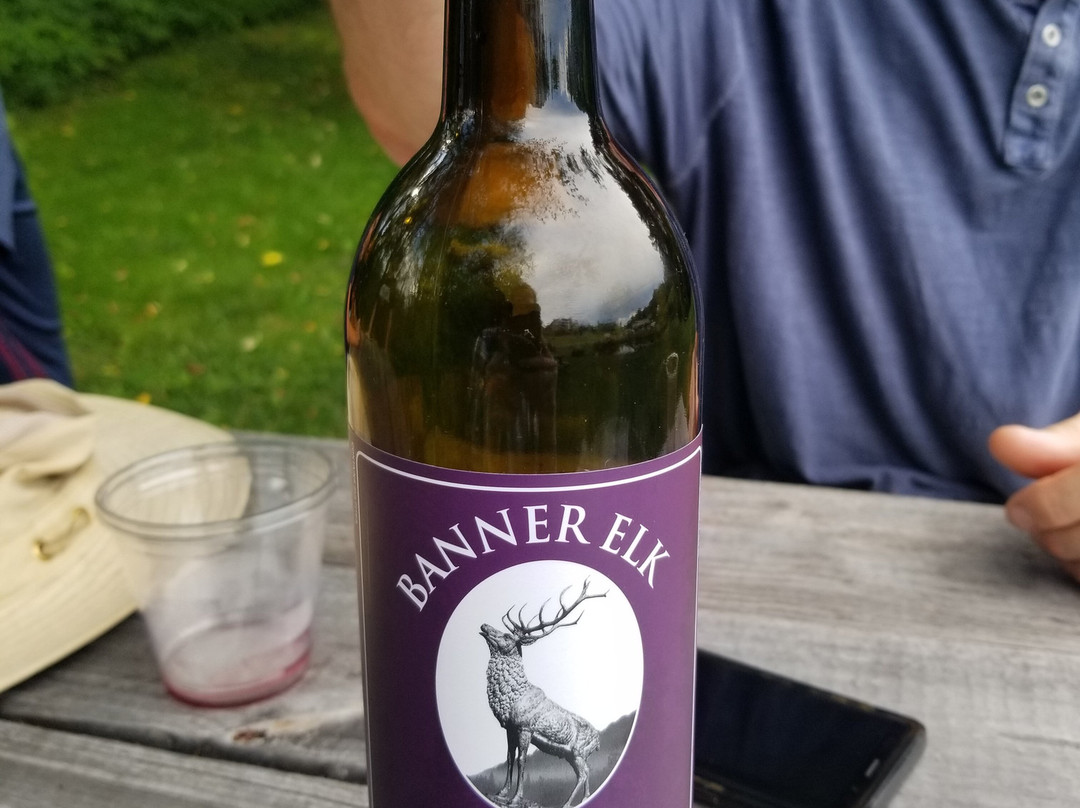 Banner Elk Winery & Villa主图
