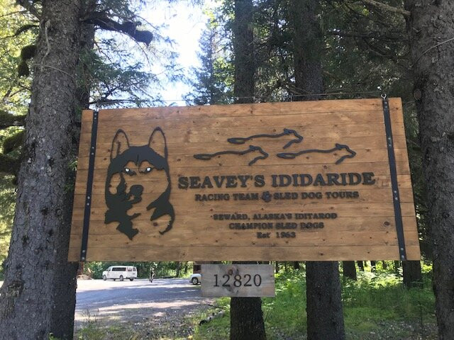 Seavey's IdidaRide Sled Dog Tours景点图片
