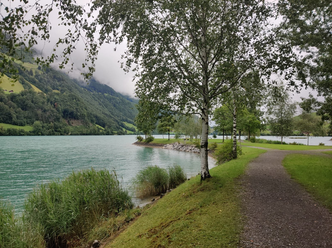Inseli Lungern