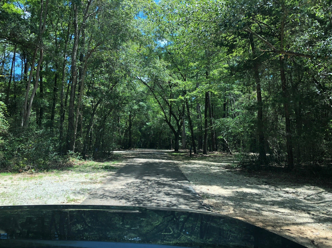 Chickasabogue Park Alabama-莫比尔必去景点