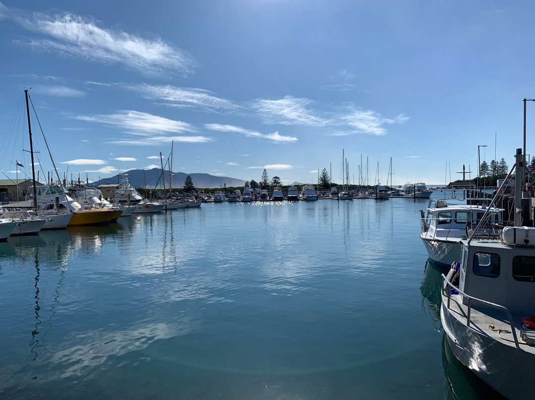 Bermagui Fishermen's Wharf景点图片