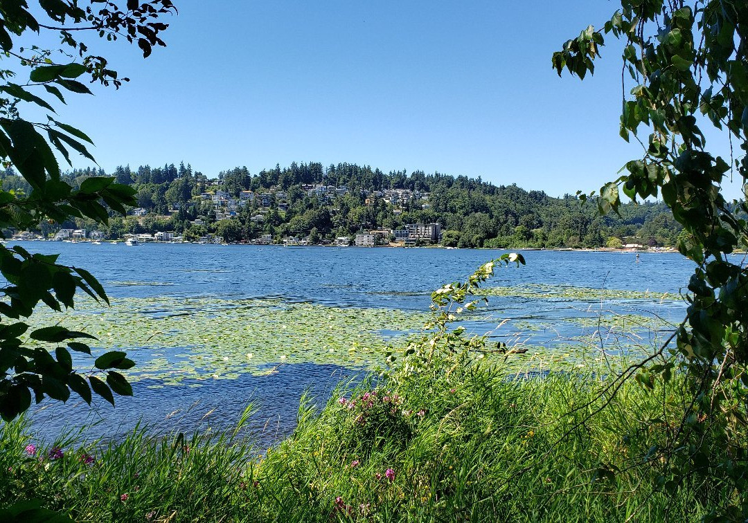 Juanita Bay Park景点图片