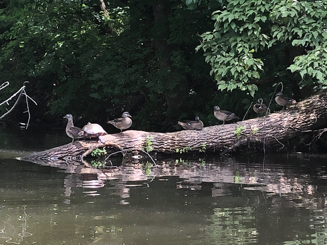 Port Providence Paddle-Phoenixville必去景点