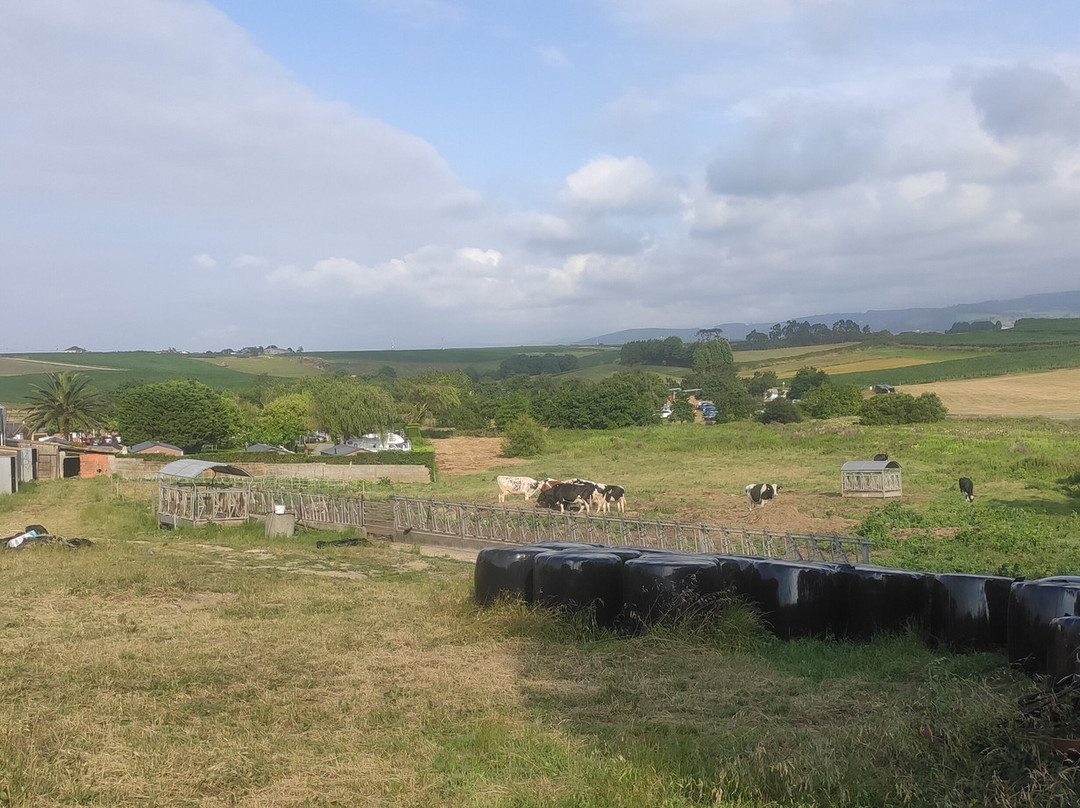 Barres旅游攻略图片