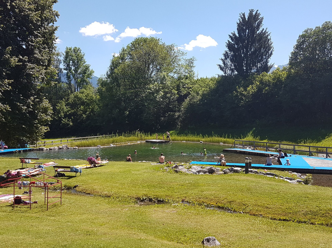Naturschwimmbad Radnig景点图片