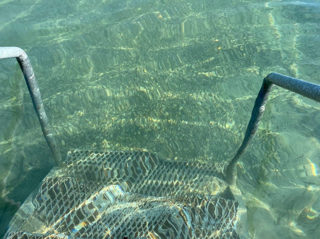 Hotel Regitnig主图