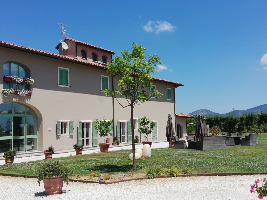 Fattoria L'Olmetto主图