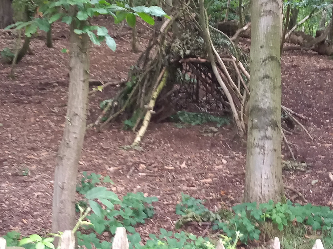 Bramcote Hills Park-Bramcote必去景点