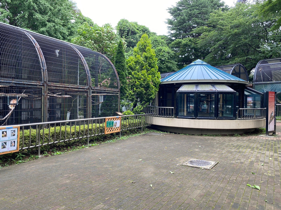 Omiya Park Zoo-埼玉市必去景点
