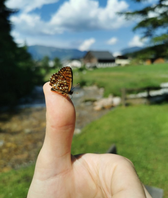 Dachser Wasserfall-阿布特瑙必去景点