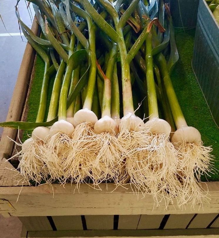 Donaldson Farms景点图片